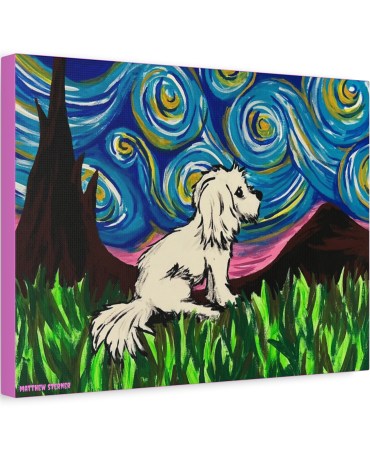 The Starry Night | Matte Canvas