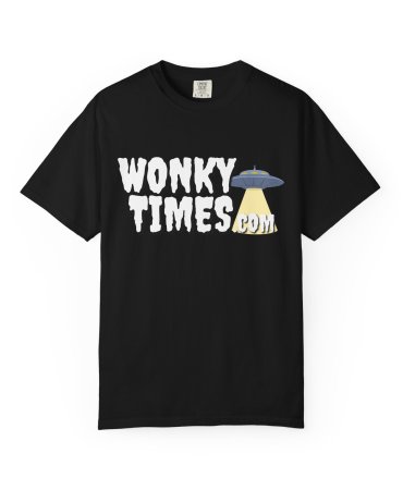 Wonky Times T-Shirt | UFO